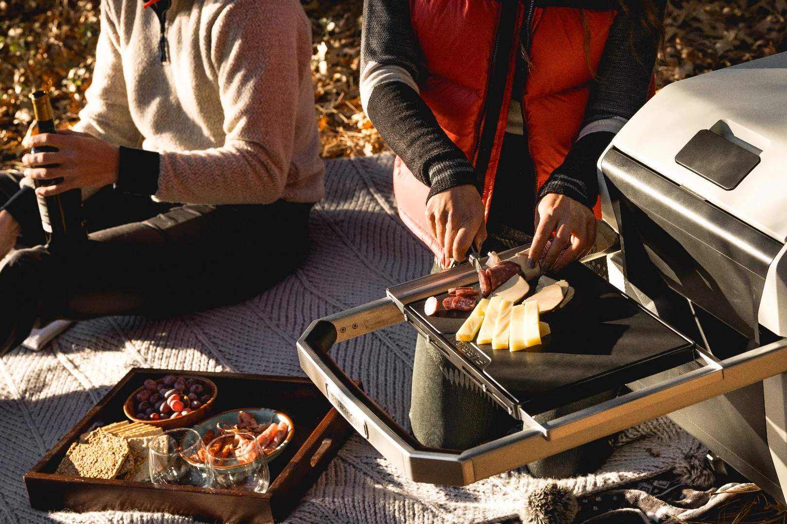 Making some snacks with the Furrion Rova
