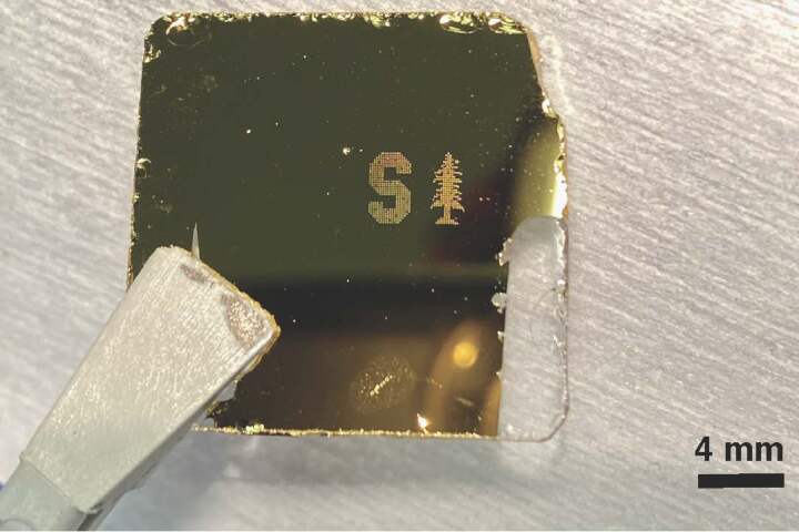 A Stanford University logo made up of droplets containing bacteria and red blood cells, printed onto a gold-coated slide