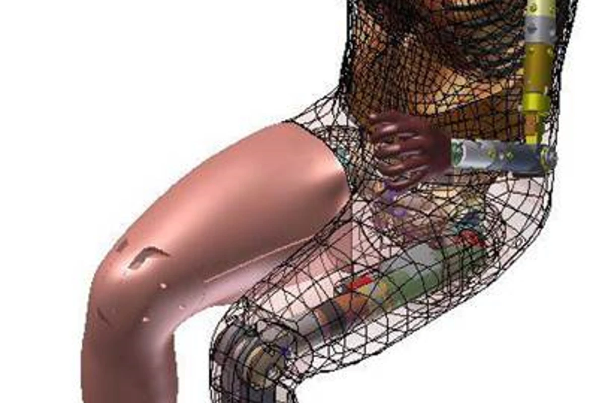 X-ray rendering of the WIAMan