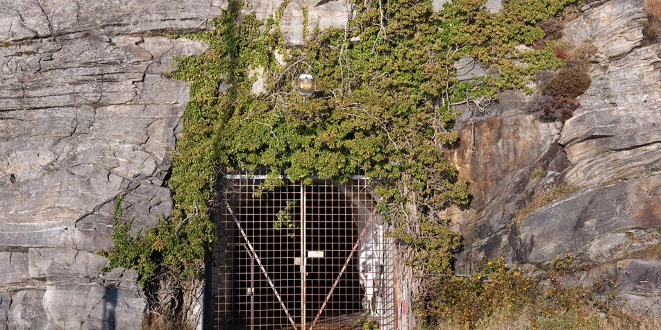 Green Mountain Date Center's back door?