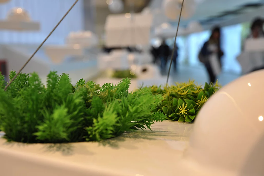 Close up of a hanging plant