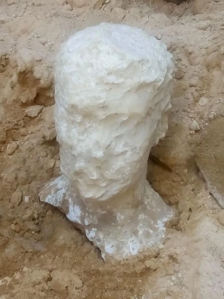 The sarcophagus was found alongside an alabaster sculpture of a male head, thought to be that of the occupant