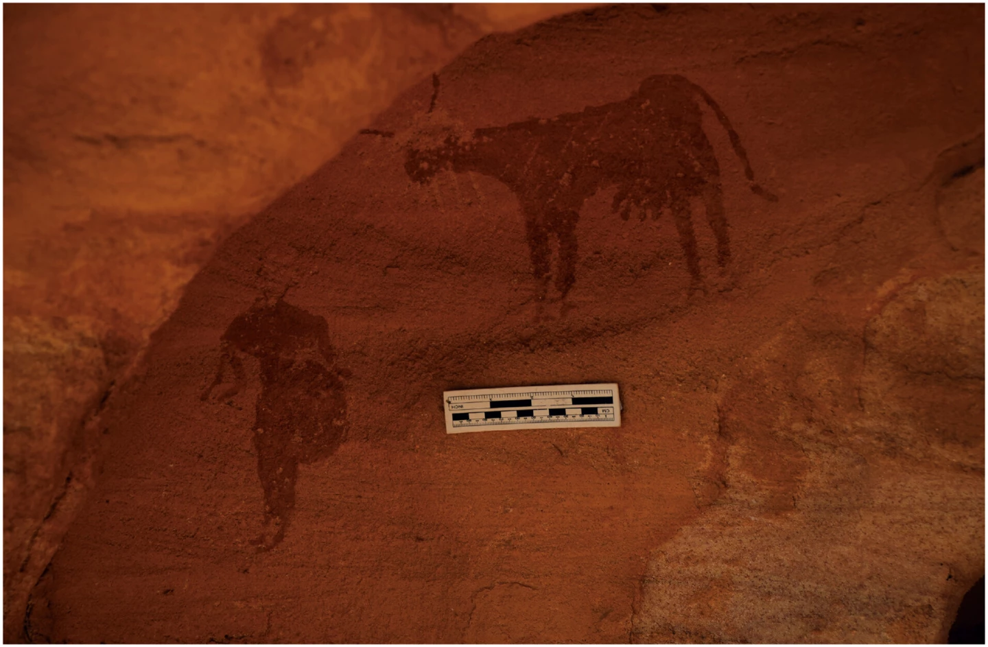 A rock painting of a full-uddered cow next to a human carrying a vessel suggests the presence of pastoralists in the now-arid region