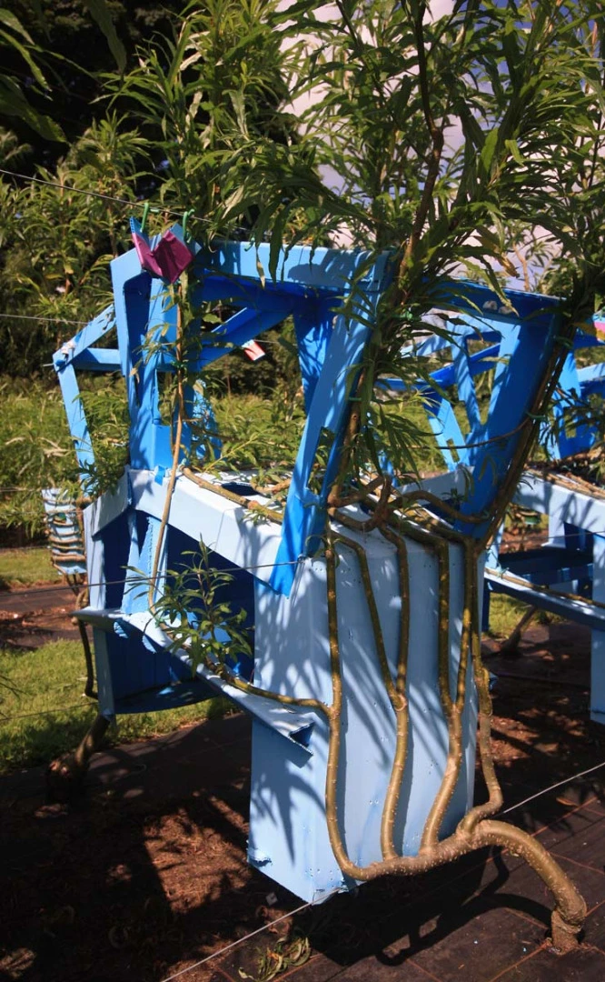 Coaxing trees to form chairs