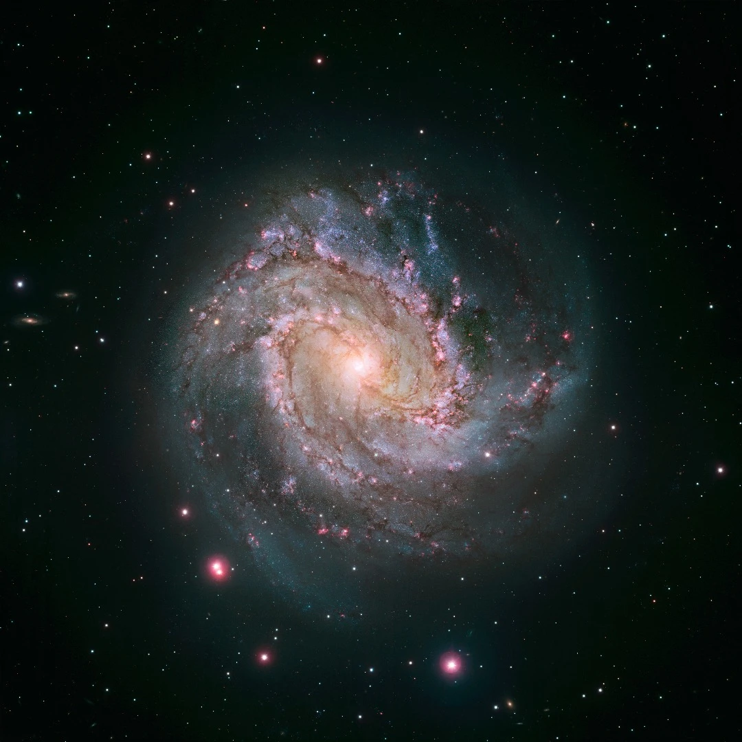 This view of Messier 83 shows new Hubble data combined with ground-based data from the Giant Magellan Telescope, which shows a wider field of view so the whole galaxy is visible.