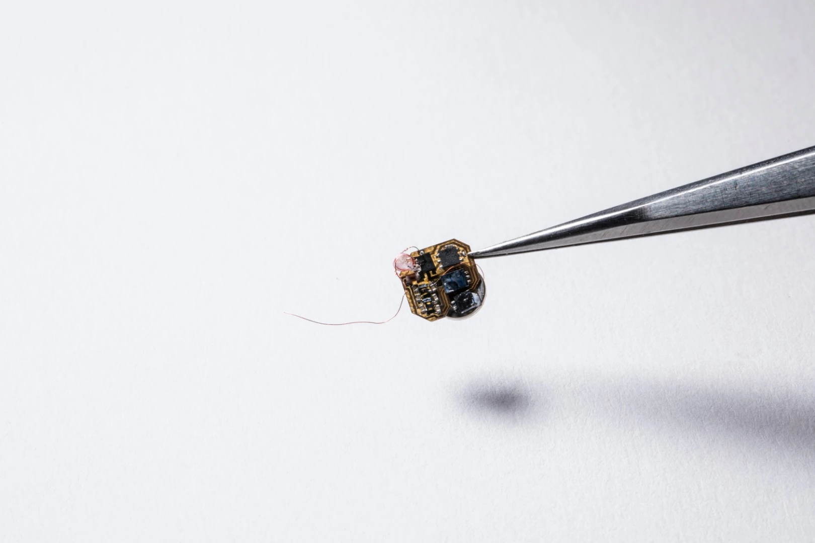 The electronic backpacks weigh just 102 milligrams, or about as much as seven grains of uncooked rice