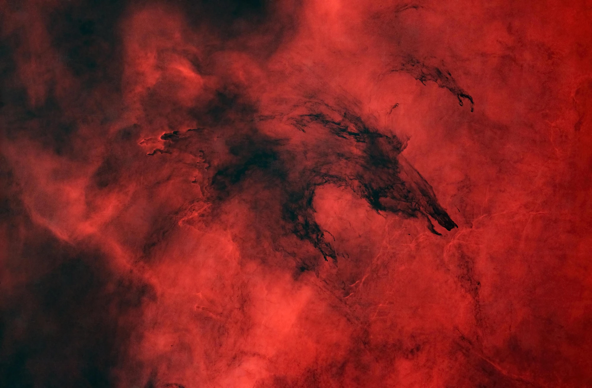 Stars & Nebulae, Highly Commended. "The Dark Wolf - Fenrir"