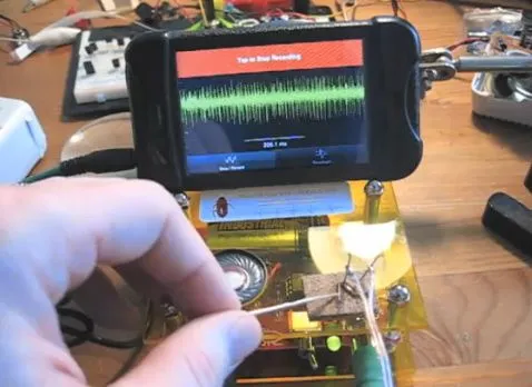 A cockroach's leg responds to touch, while attached to the SpikerBox