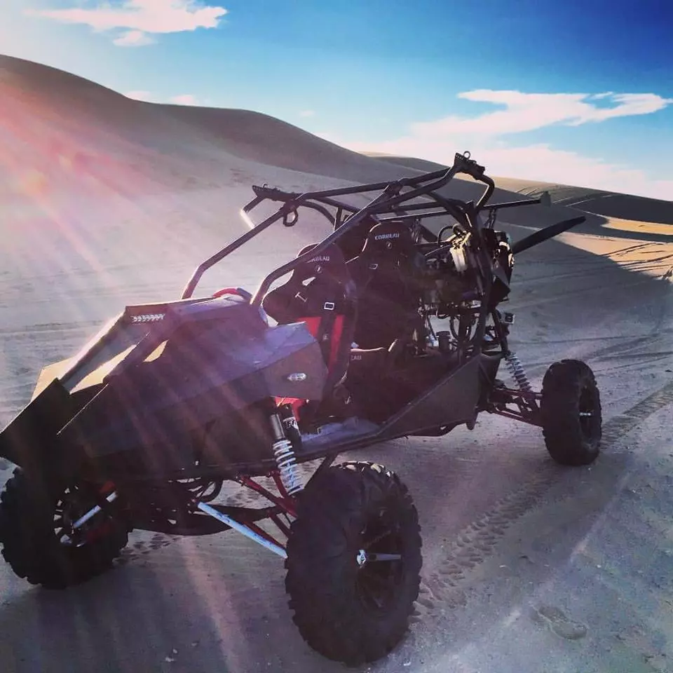 Looking quite at home in the dunes