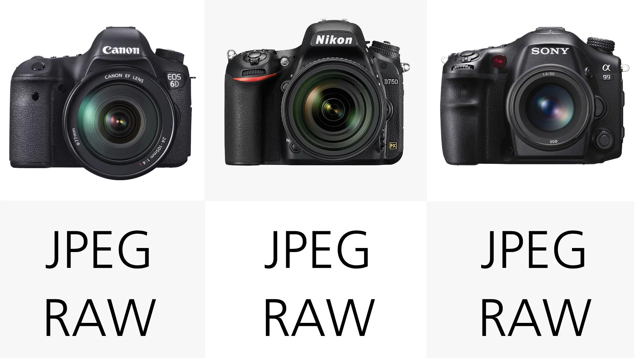 As you would expect, all of these cameras can shoot both JPEG and RAW images