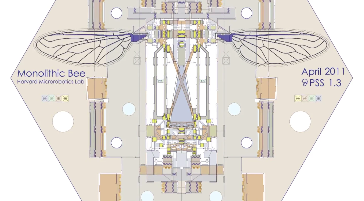 Plan drawing of the Mobee and scaffold