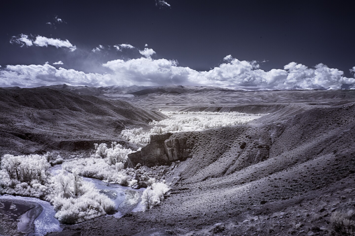 Gallery The surreal and psychedelic art of infrared photography