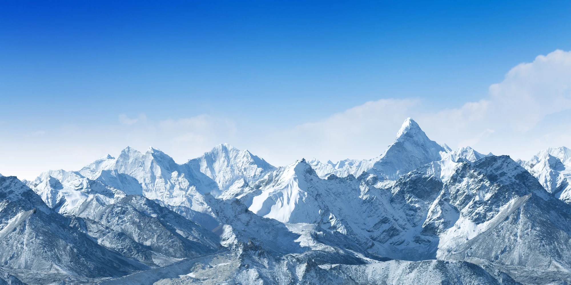 Researchers have identified 33 types of viruses in ancient ice cores – at least 28 of which are new to science