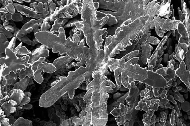 Nanoscale metal snowflakes made of zinc, could be a first step towards a new manufacturing technique