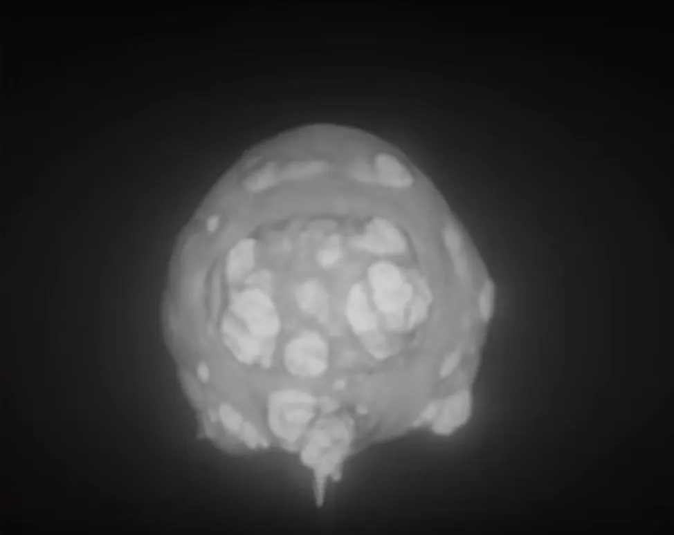 Most of the footage is of slow motion close ups of the initial explosions for analytical purposes