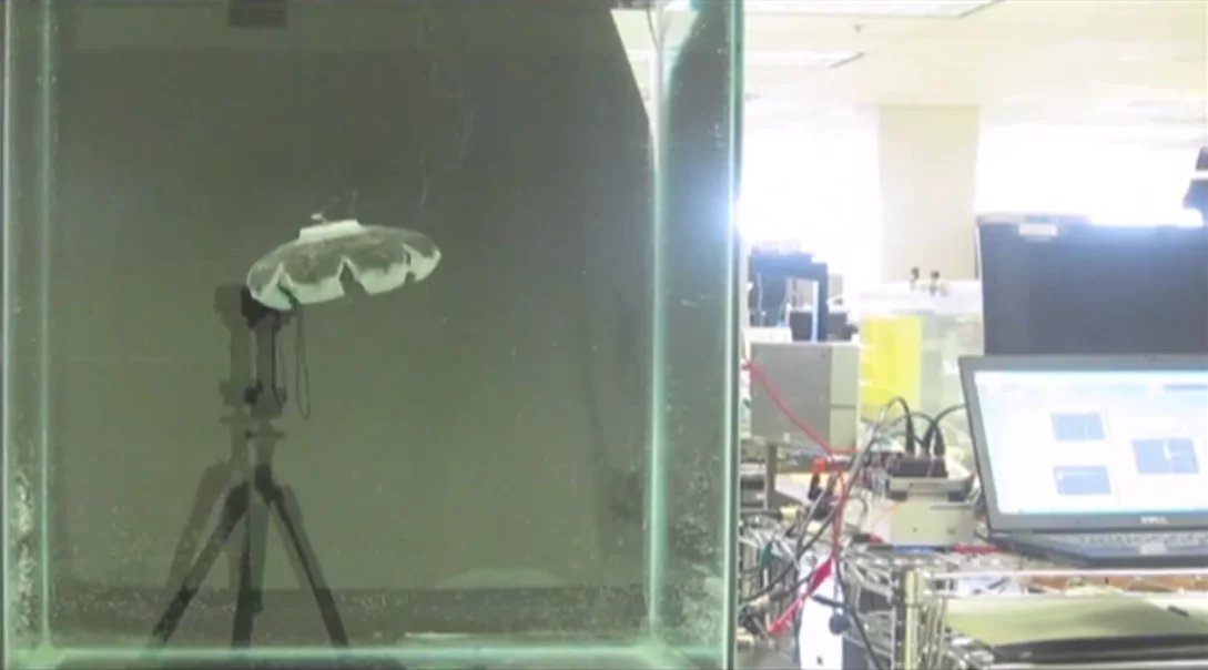 Exothermic reactions catalyzed by Robojelly's platinum-based surface generate heat which is transferred to the robot's artificial muscles