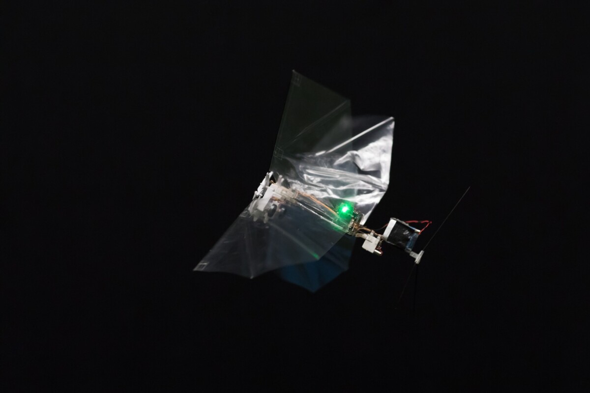 Weighing 29 g and packing a 33-cm wingspan, the autonomous DelFly Nimble is the closest MAV yet to achieve the dynamics of fruit fly flight