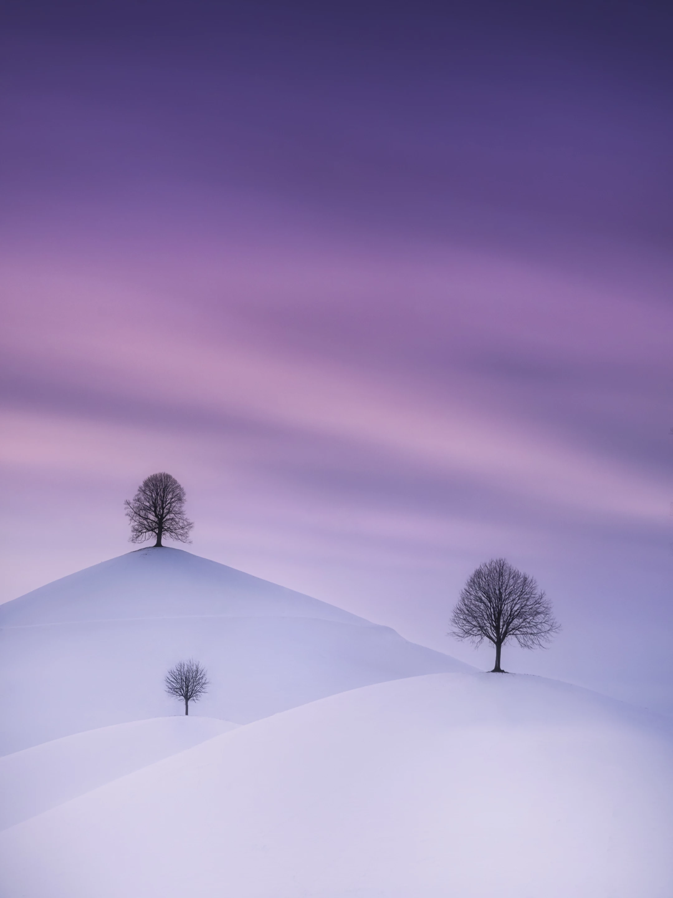 Photograph of the Year - Second Place. The Drumlins in Winter. Menzingen, Switzerland