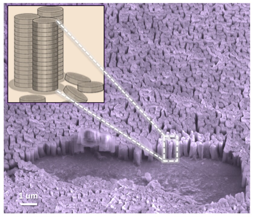 Vertical nanopillars are ideal geometries for getting around the challenges of producing polymer architecture to boost power-conversion efficiency of light to electricity to power electronic devices (Image: UMass Amherst)
