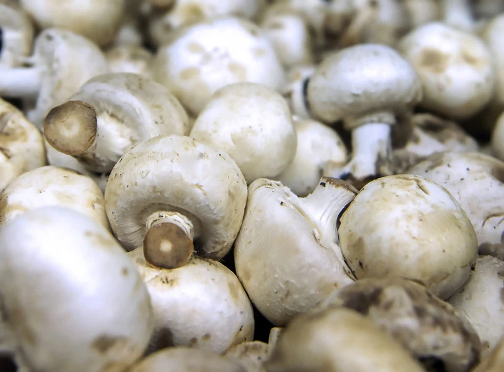Researchers have found that mushrooms contain unusually high amounts of anti-oxidative compounds ergothioneine and glutathione