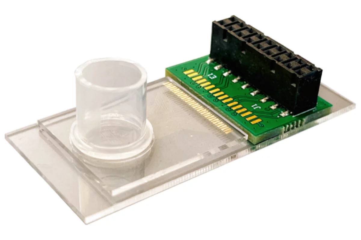 The prototype nano-mechanoelectrical DNA sensor