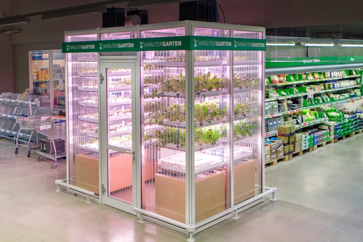 The INFARM is part of a pilot project at the METRO Cash & Carry wholesale store in the Berlin district of Friedrichshain
