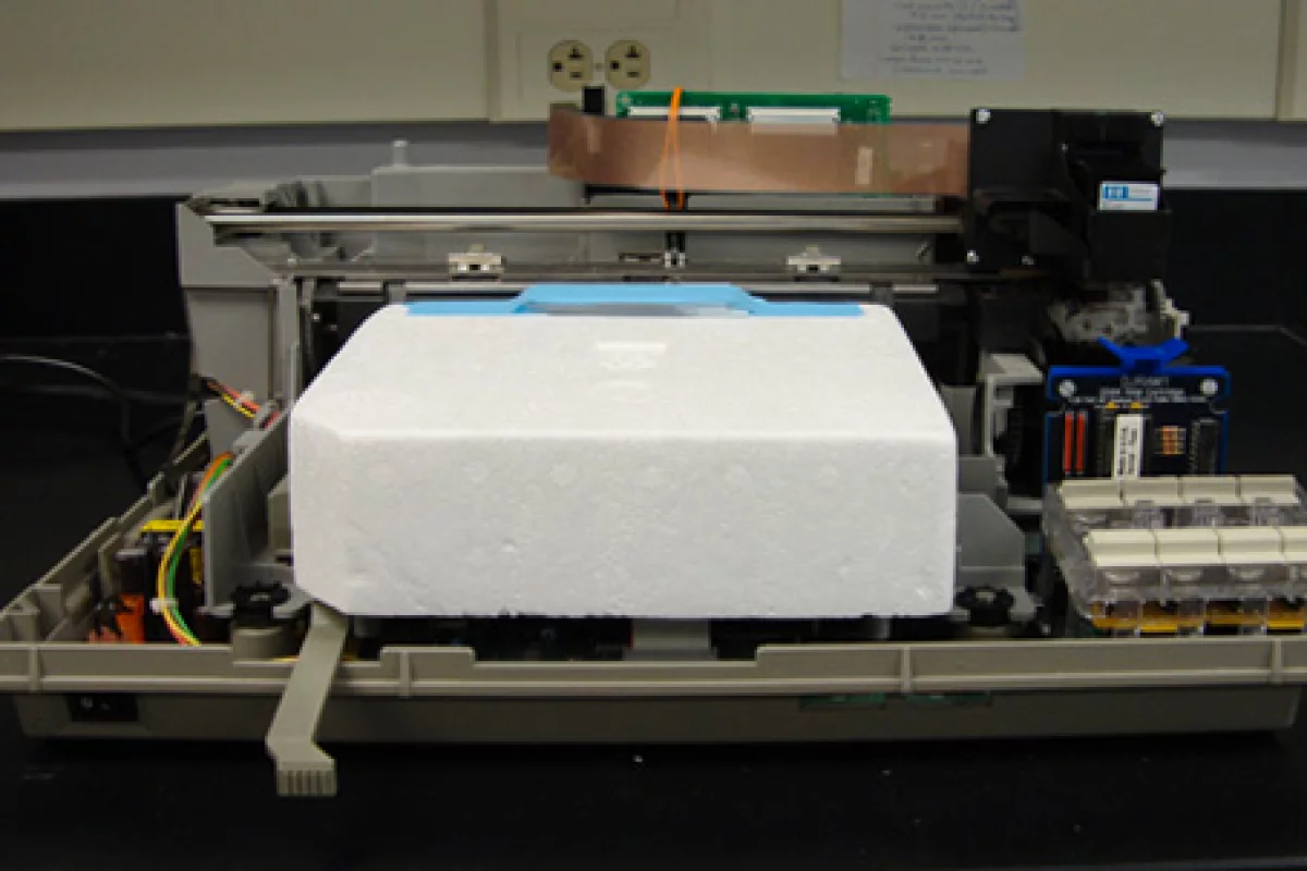 Using a modified HP DeskJet 500 printer, researchers at Clemson University have discovered that inkjet bioprinting disrupts the membranes of the cells being printed, leaving them open to having proteins inserted
