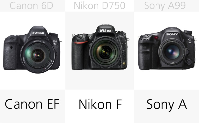 There are plenty of lens options for any of these full frame DSLRs