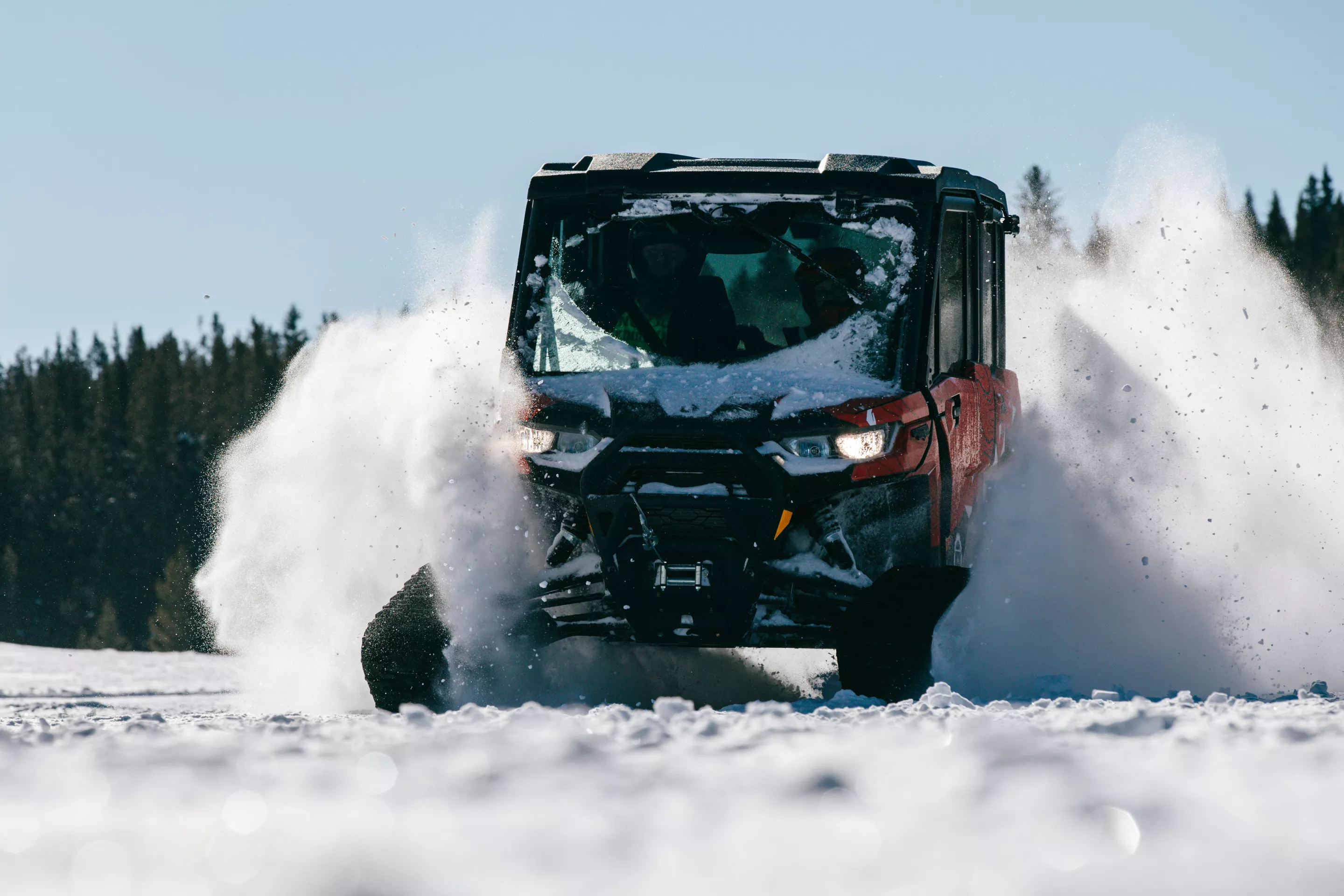 Fresh powder in an open field. Dreamy