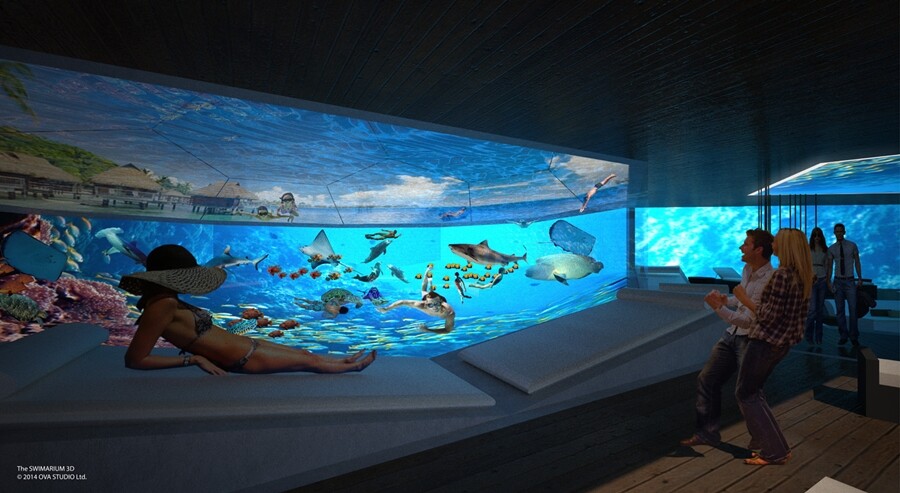 OVA says pre-recorded video could be sohwn on the LED screens of live video feeds from dive sites around the world