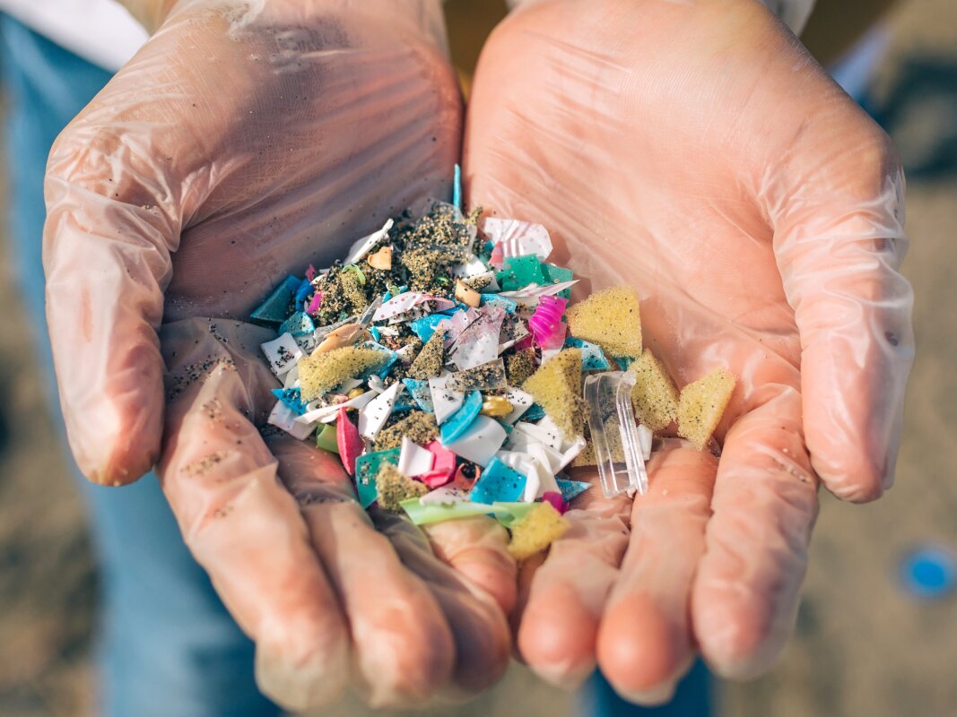 Microplastics in our blood could put us at greater risk of a heart attack