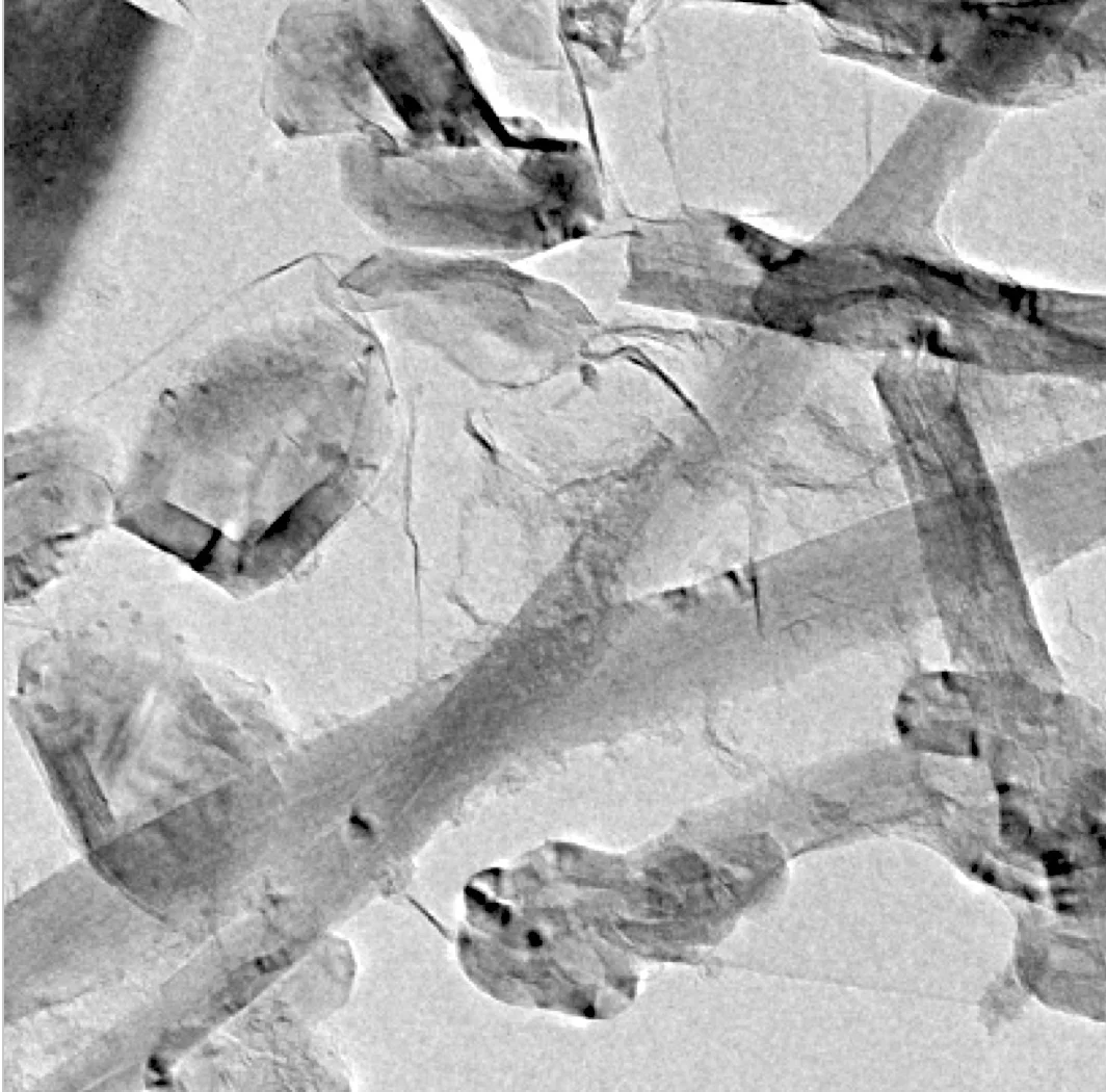Under a microscope, the carbon nanotubes and carbon shells can be seen in a 2D sheet of graphene