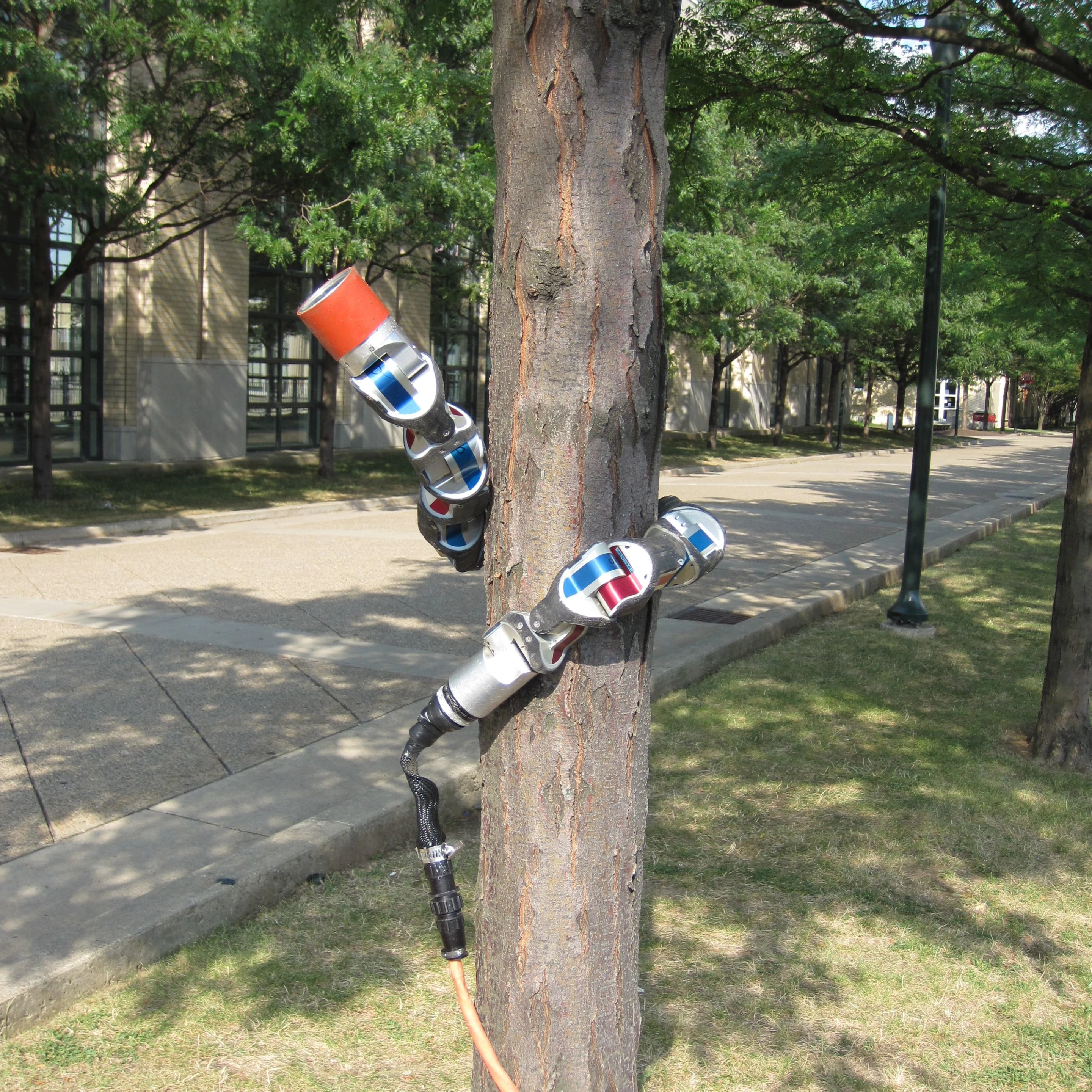 The original snake robot, climbing a tree
