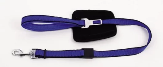 The Quick Control Leash + Seat belt latch