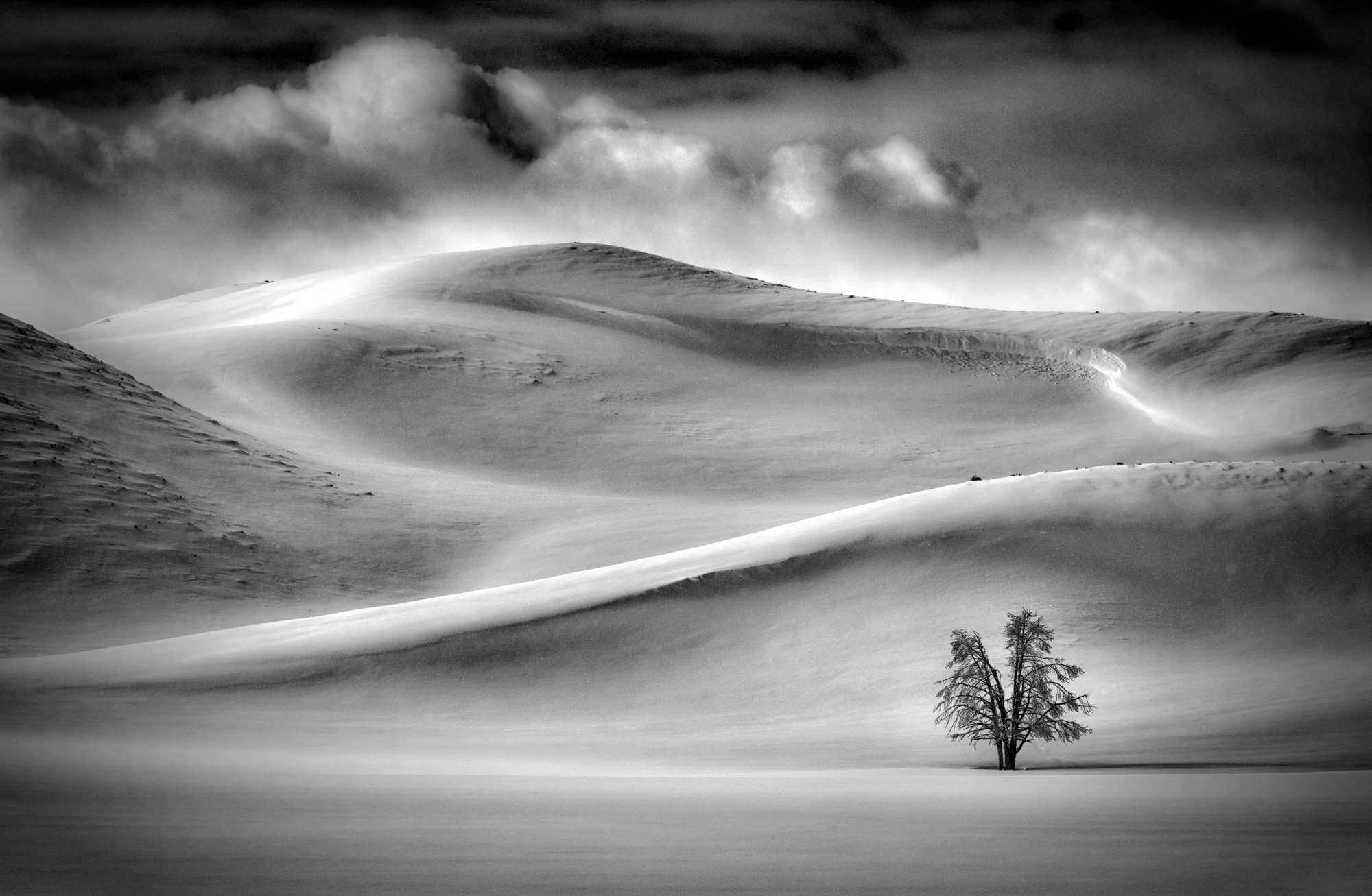 Top 101. 'Winter's Desolation', Hayden Valley, Yellowstone
