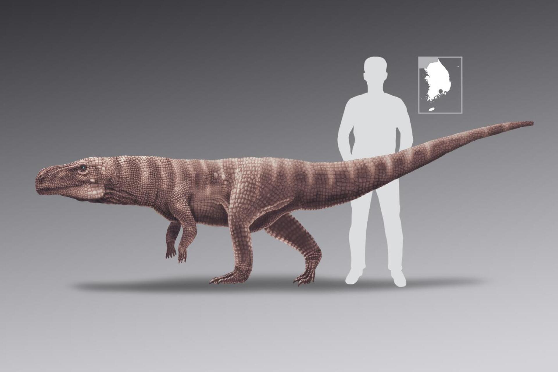 Fossil footprints reveal ancient crocodile that walked on two legs