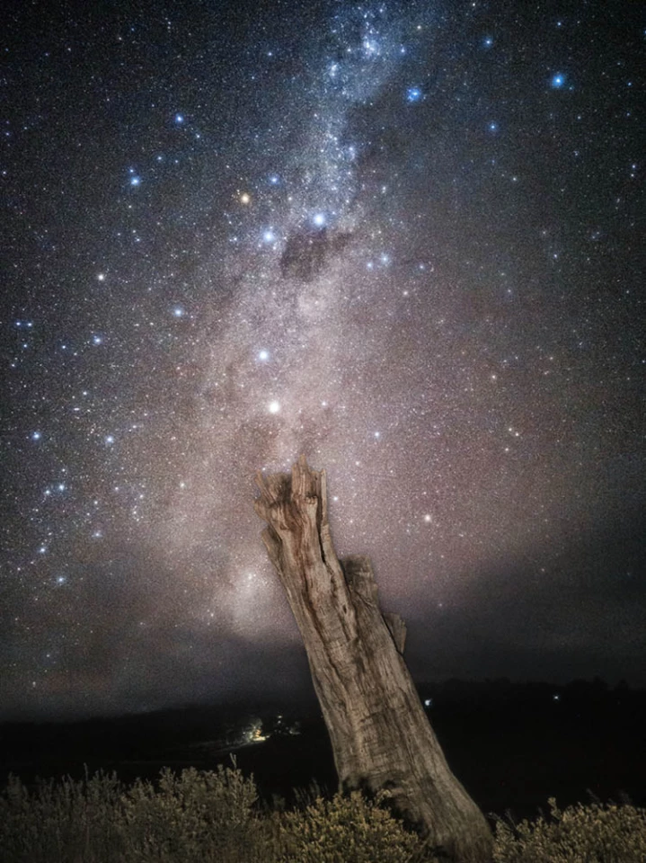 Winner - Smartphone Astrophotography. "Celestial River Bifurcation"