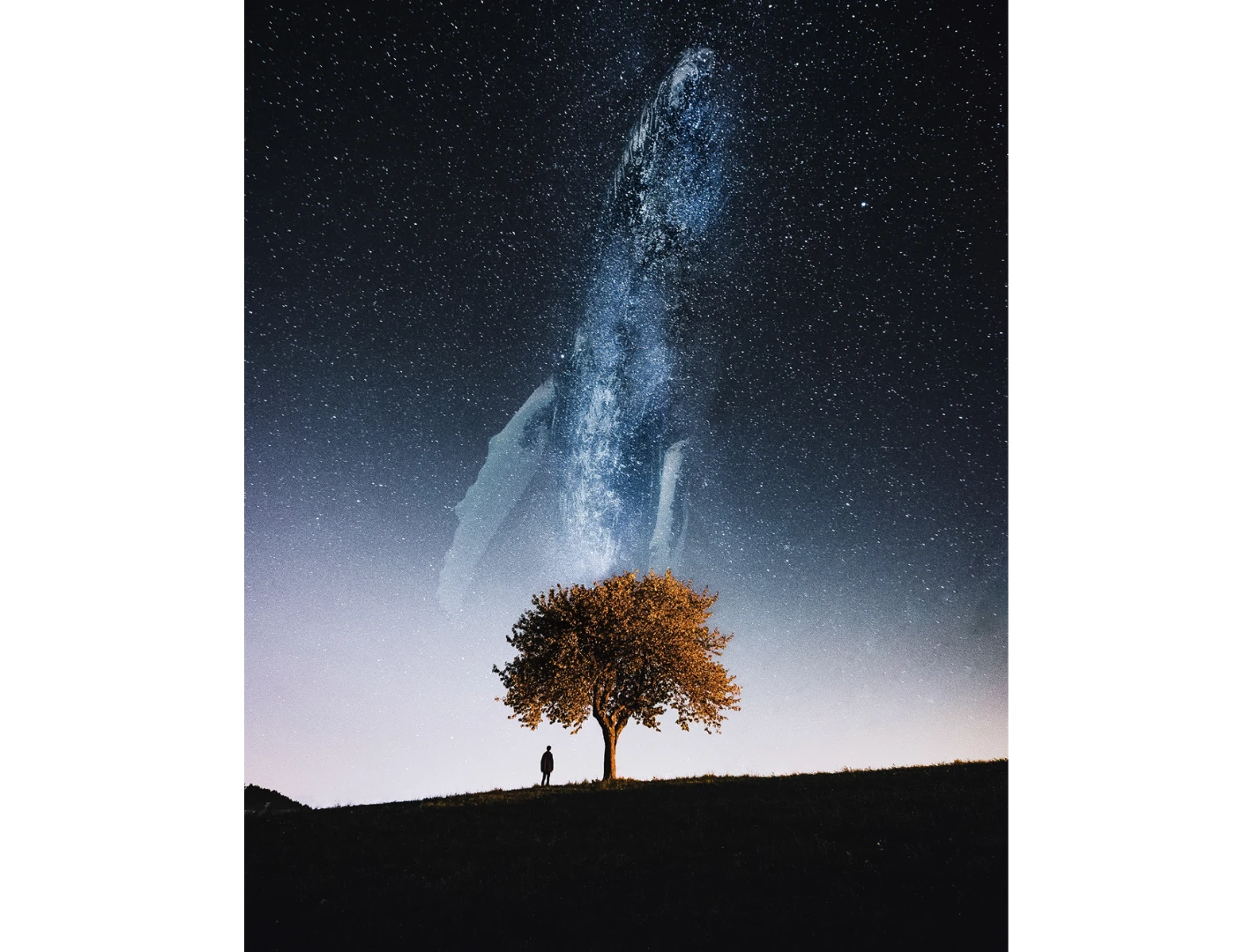Milkywhale (Credit: Justin Peters CC BY-NC-ND 4.0)