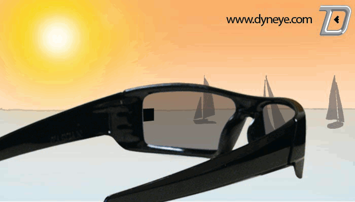 Chris Mullin's Dynamic Eye sunglasses