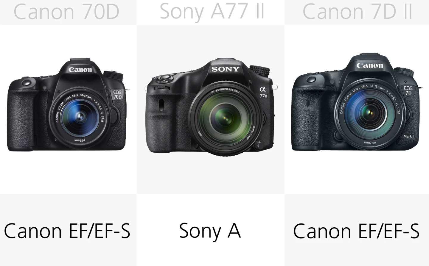 The Sony A77 II uses Sony A mount lenses