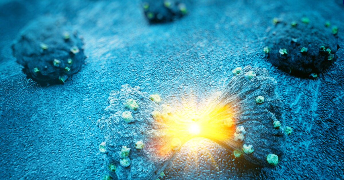 Magnetic seeds can be steered into cancer tissue to kill it with heat