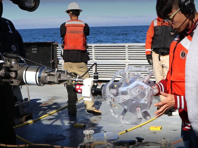 Zhi Ern Teoh tests the RAD sampler, mounted on the ROV Ventana, before its deployment into the Pacific Ocean at Monterey Canyon, California