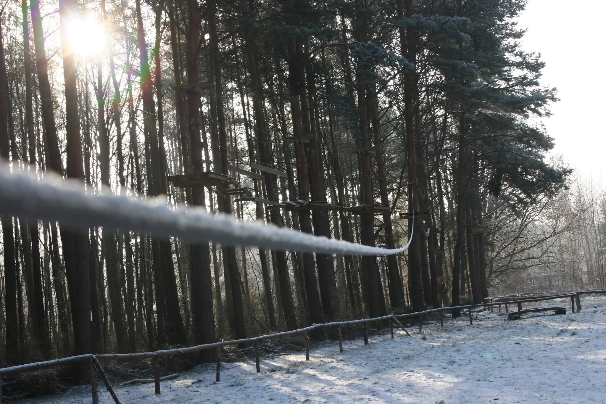 Photo of Climb Up! forest adventure park in winter