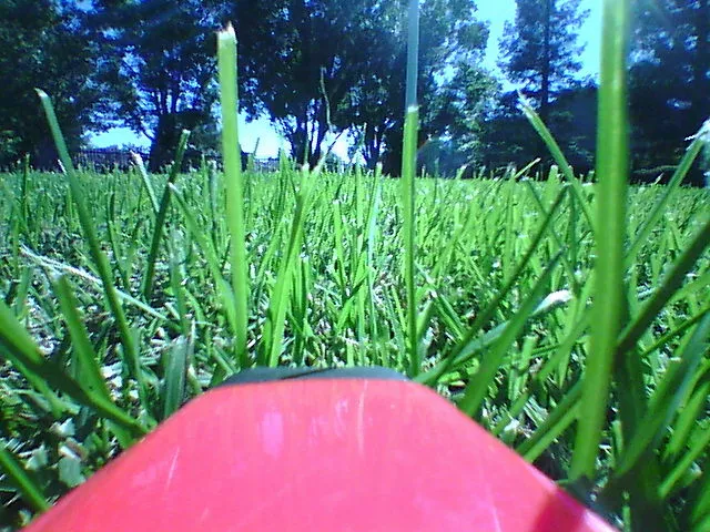 For being such a tiny thing, the camera on the PowerUp FPV is surprisingly suitable for daytime flights