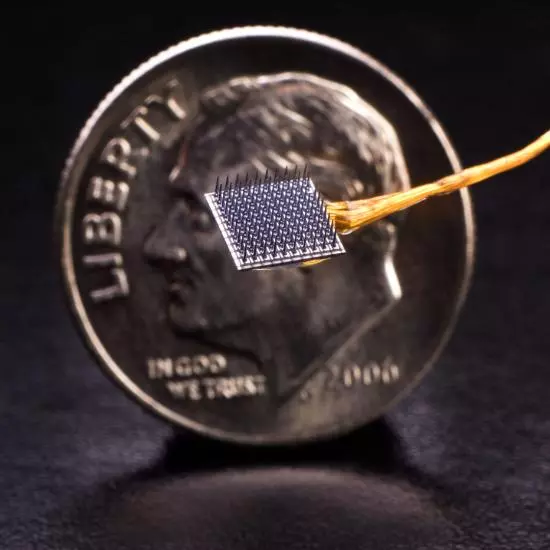 The BrainGate implantable microelectrode array