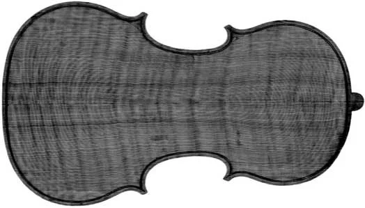 CT scan of the back of the original Stradivari Betts violin. (Image: RSNA)