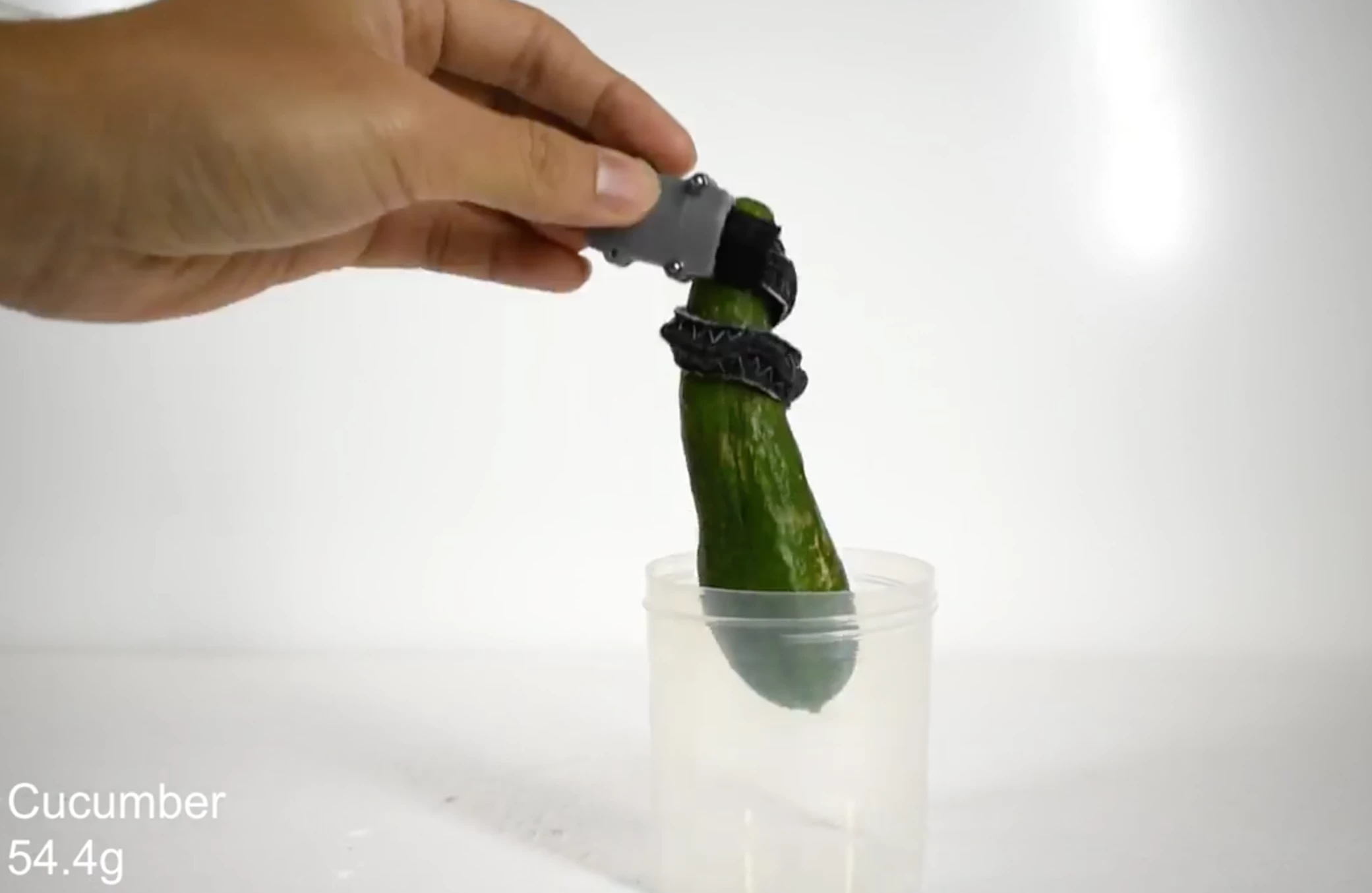 A new type of robotic gripper is able to grasp objects like an elephant's trunk