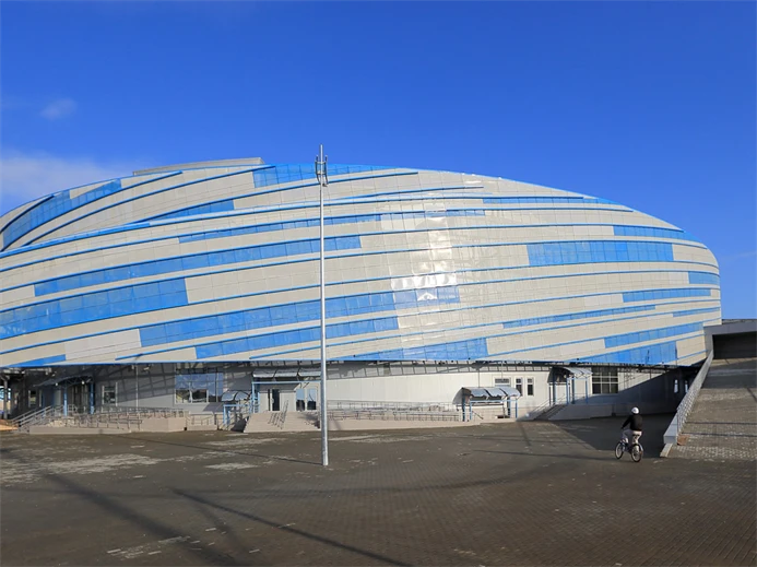 The Shayba Arena, reminiscent of a hockey puck, for which it was named (image: Sochi 2014 Organizing Committee)