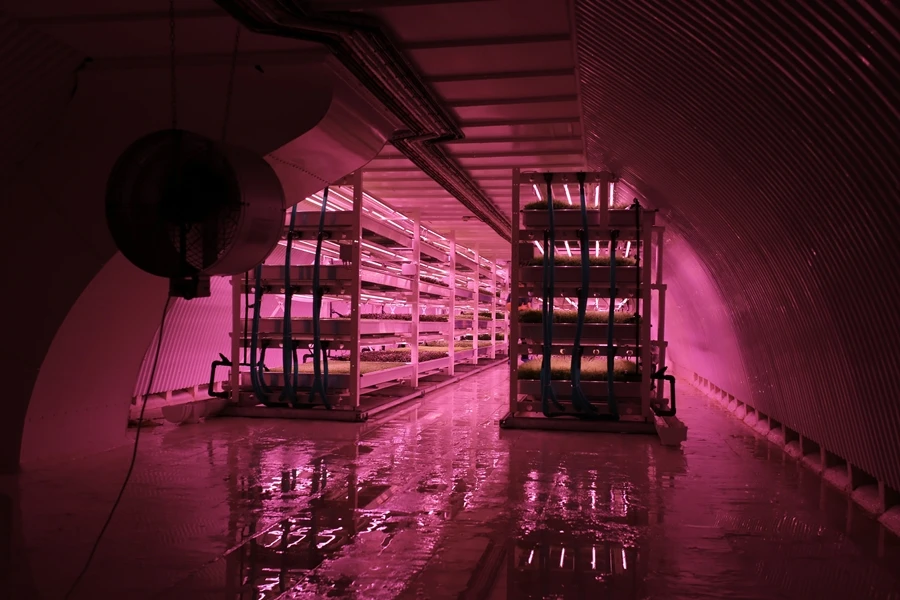 Growing Underground aims to produce fresh produce with zero effect on the environment