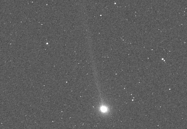 Comet Encke (Image: NASA)